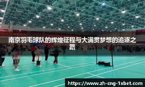 南京羽毛球队的辉煌征程与大满贯梦想的追逐之路